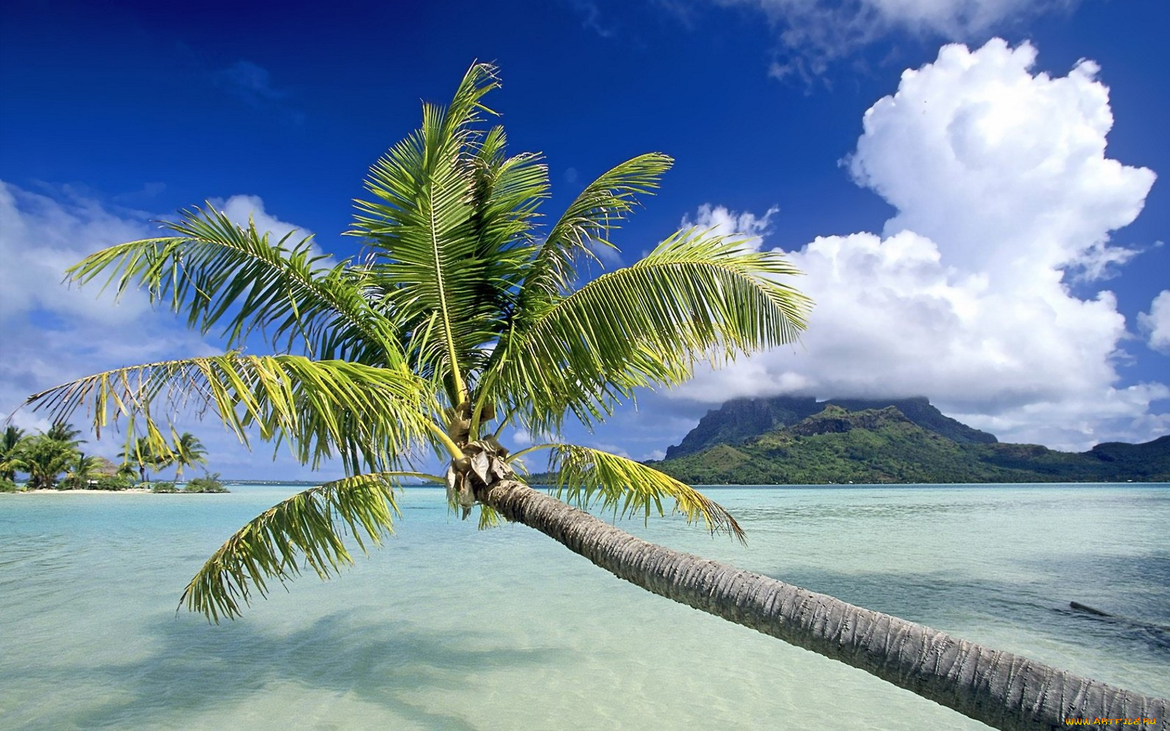 bora, french, polynesia, , 